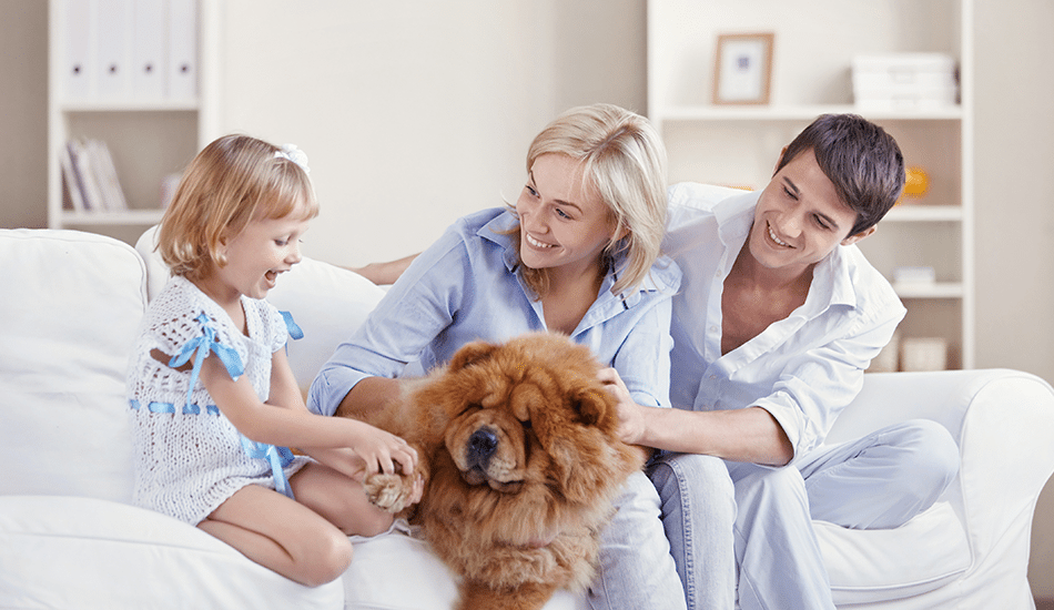 Family with pet on couch | Stiles Heating, Cooling, & Plumbing